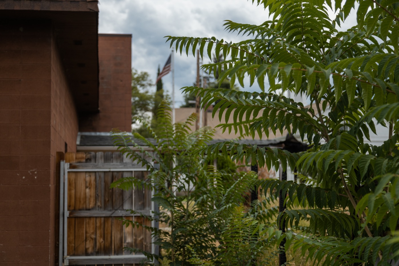 St. Paul High School